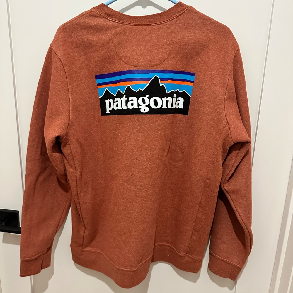 Like new Patagonia crew neck